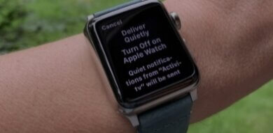 apple watch product-service system
