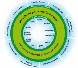 Donut-centered Design Toolkit